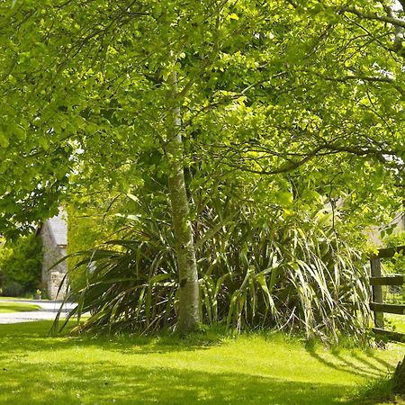 Courtyard Cottages Tralee Room photo